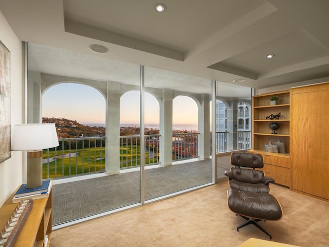 1001 Genter St Unit 9Ab, La Jolla, CA 92037 - living area featuring carpet and a raised ceiling