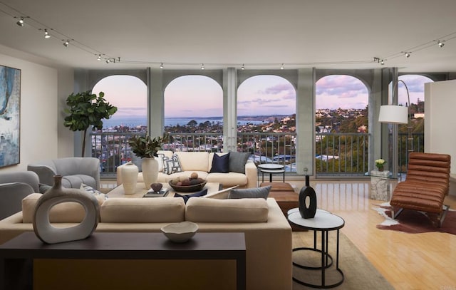 1001 Genter St Unit 9Ab, La Jolla, CA 92037 - living room featuring wood finished floors, rail lighting, and healthy amount of natural light