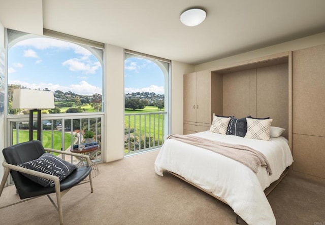 1001 Genter St Unit 9Ab, La Jolla, CA 92037 - bedroom with carpet floors and expansive windows