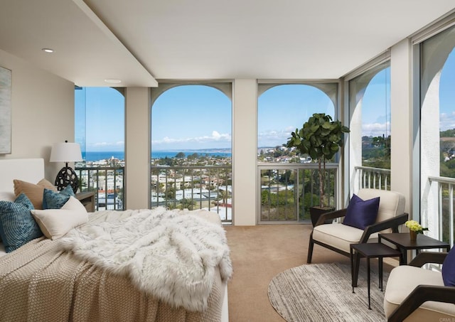 1001 Genter St Unit 9Ab, La Jolla, CA 92037 - carpeted bedroom featuring a wall of windows and multiple windows