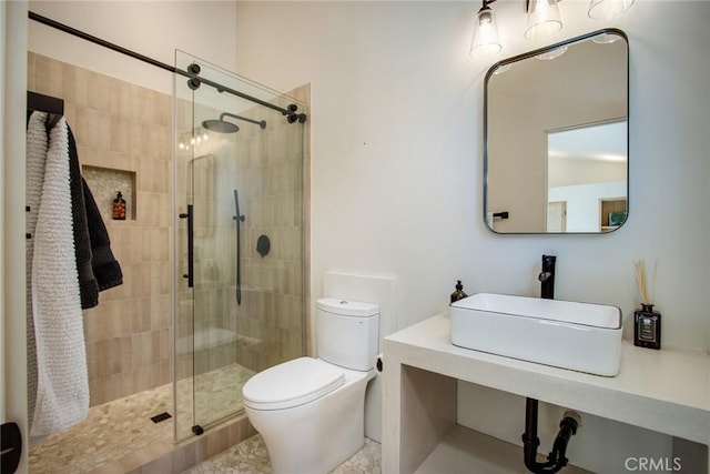 bathroom featuring a shower stall, toilet, and a sink