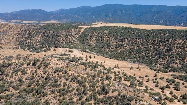 view of mountain feature