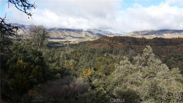 view of mountain feature featuring a wooded view