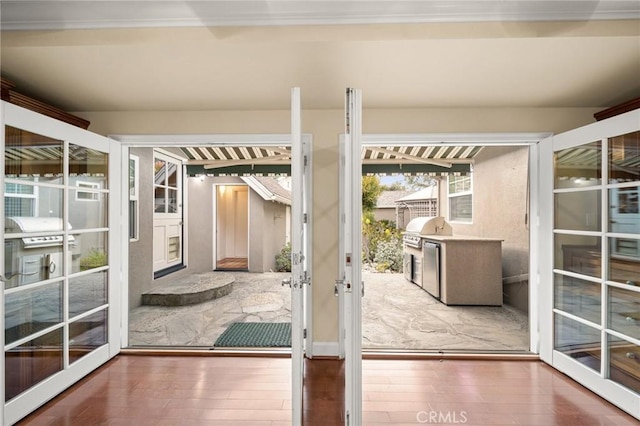 entryway featuring french doors and wood-type flooring