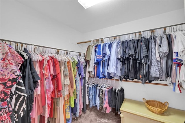 walk in closet featuring carpet floors