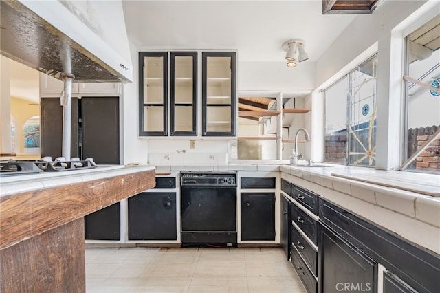 kitchen featuring a sink, glass insert cabinets, under cabinet range hood, dishwasher, and dark cabinets