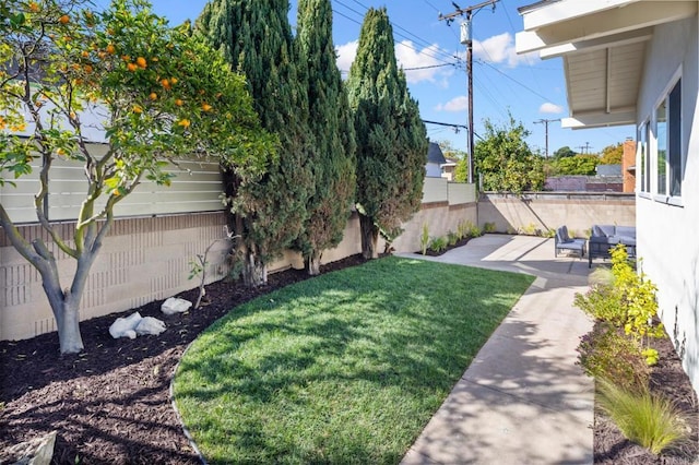 view of yard with a patio and a fenced backyard