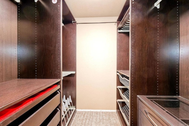 spacious closet with carpet flooring