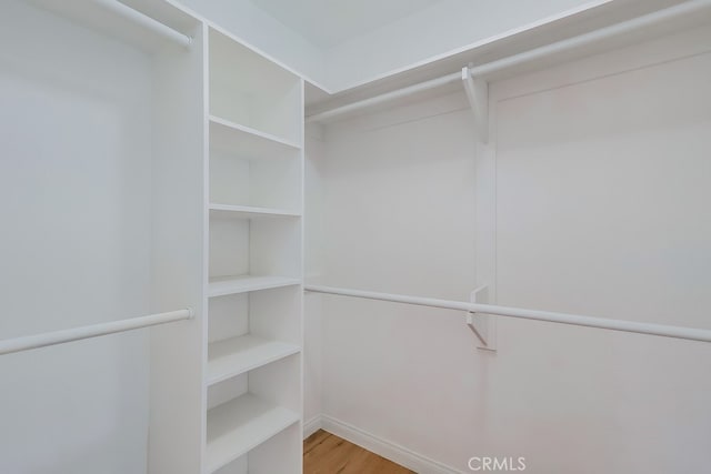 walk in closet featuring wood finished floors