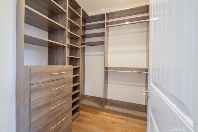 walk in closet with light wood finished floors