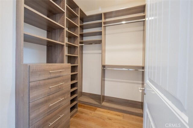spacious closet featuring light wood finished floors
