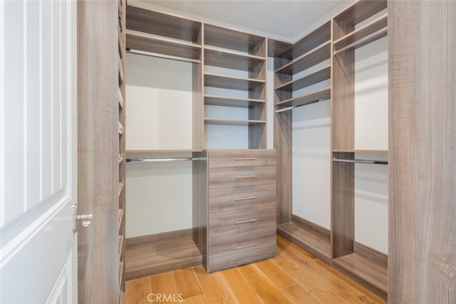 spacious closet featuring light wood finished floors