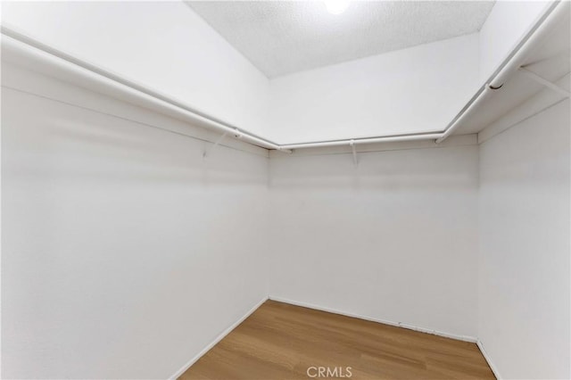 walk in closet featuring wood finished floors