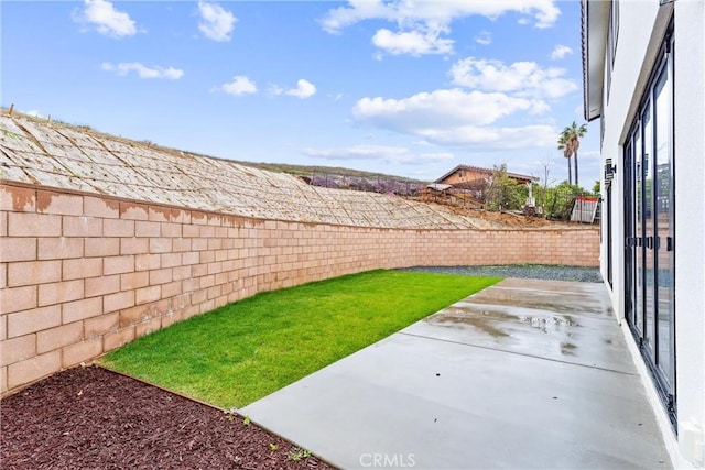 view of yard with a patio area and a fenced backyard