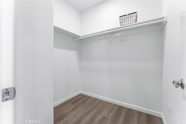 spacious closet featuring wood finished floors