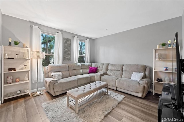 living room with baseboards and wood finished floors