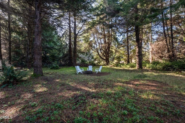 view of yard featuring a forest view and a fire pit