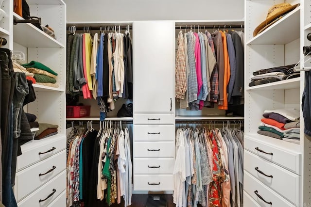 view of spacious closet