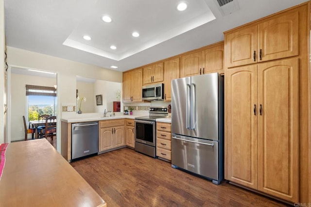 kitchen with dark wood finished floors, recessed lighting, appliances with stainless steel finishes, light countertops, and a raised ceiling