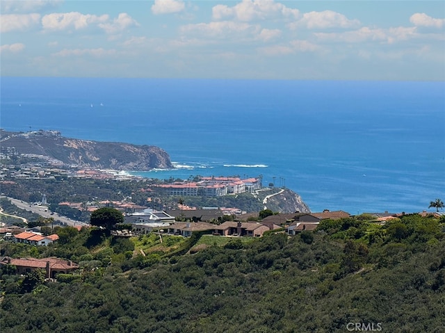 31711 Crystal Sands Dr, Laguna Niguel, CA 92677 - water view