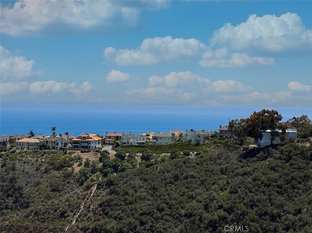 31711 Crystal Sands Dr, Laguna Niguel, CA 92677 - water view with a heavily wooded area