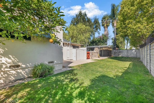 view of yard with a patio and a fenced backyard