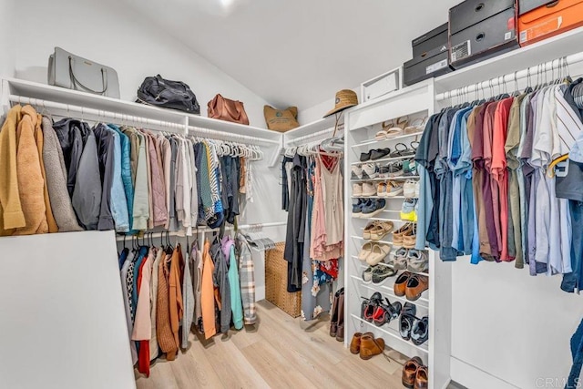 walk in closet with lofted ceiling and wood finished floors