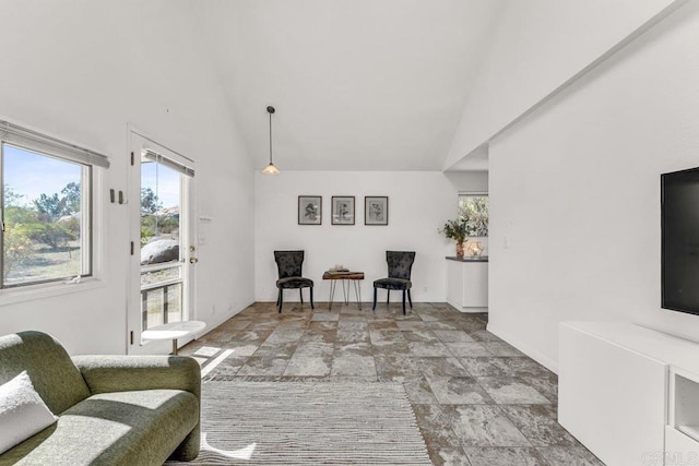 living area with stone finish floor, baseboards, and high vaulted ceiling