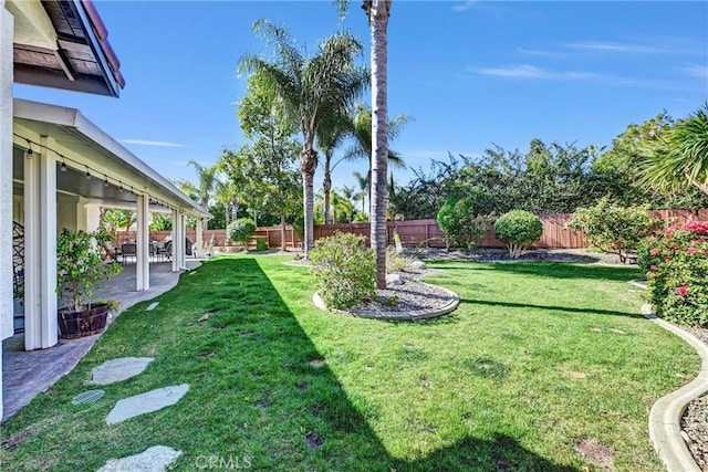 view of yard with a fenced backyard and a patio