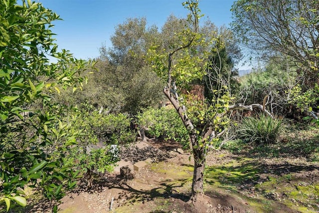 view of landscape