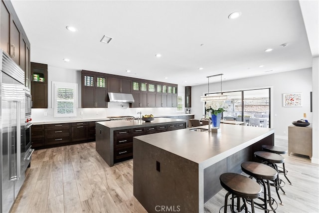 kitchen featuring under cabinet range hood, light wood-type flooring, and a kitchen island with sink