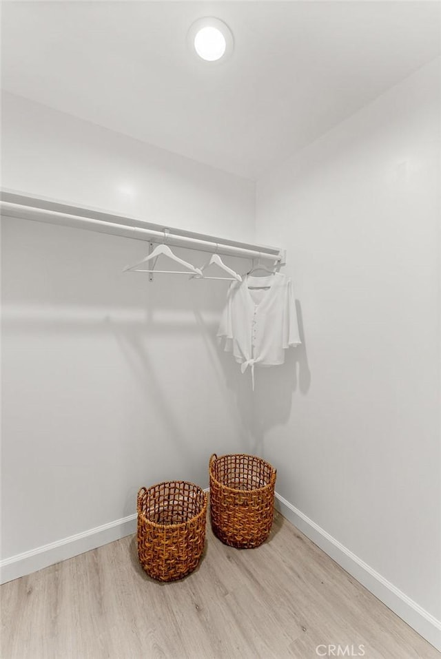 walk in closet with light wood-type flooring