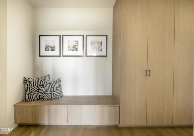 mudroom with light wood-style flooring