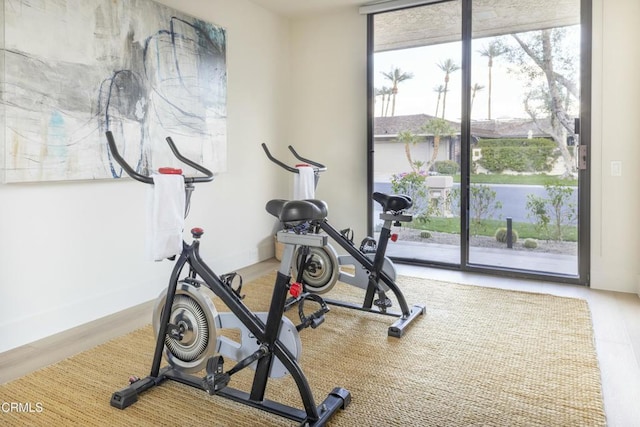 workout area with wood finished floors and expansive windows