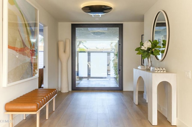 foyer entrance with plenty of natural light and wood finished floors