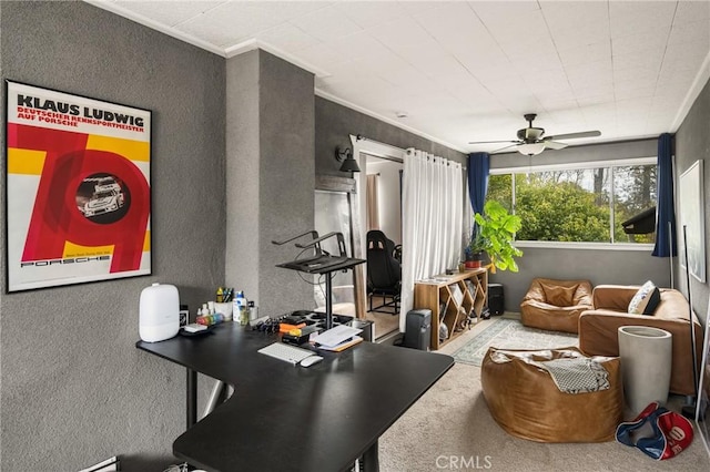 interior space with ceiling fan, ornamental molding, and a textured wall