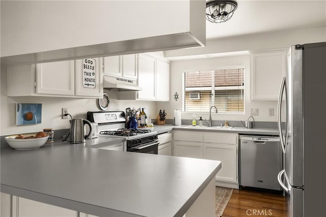 kitchen with a peninsula, a sink, dark wood-type flooring, under cabinet range hood, and appliances with stainless steel finishes