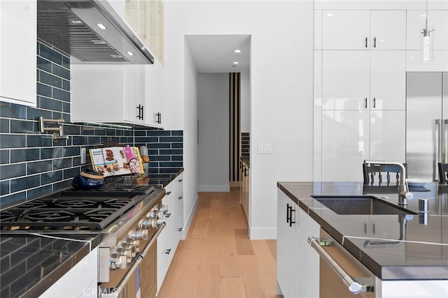 kitchen with light wood-style flooring, a sink, appliances with stainless steel finishes, exhaust hood, and tasteful backsplash