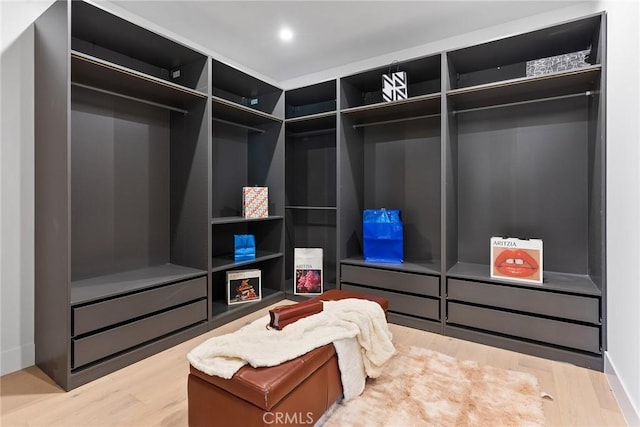 walk in closet featuring wood finished floors