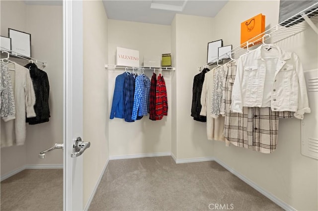 walk in closet with carpet floors