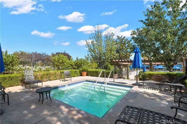 view of swimming pool with a patio area