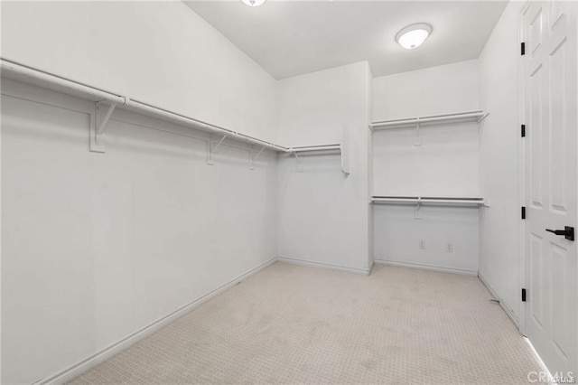 walk in closet with carpet floors