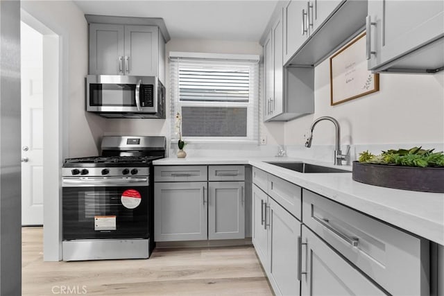 kitchen with light wood-style flooring, gray cabinets, a sink, stainless steel appliances, and light countertops