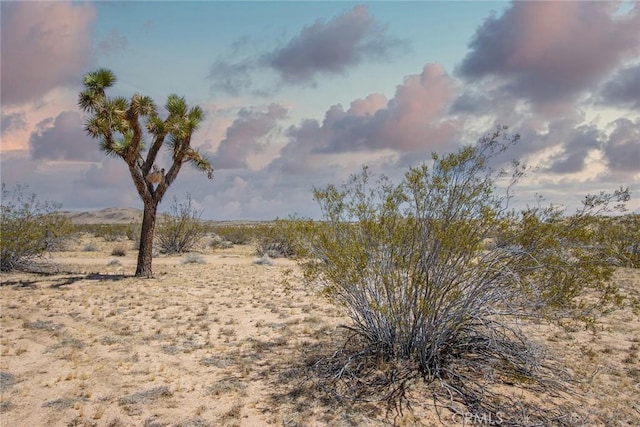 4444 Cielito Dr, Joshua Tree CA, 92252 land for sale