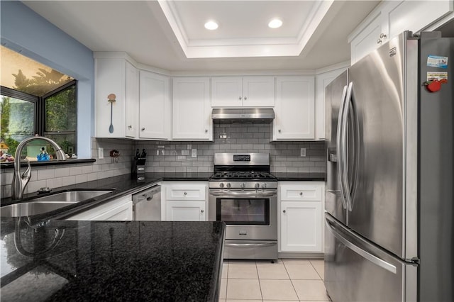 kitchen featuring under cabinet range hood, a tray ceiling, light tile patterned floors, stainless steel appliances, and a sink