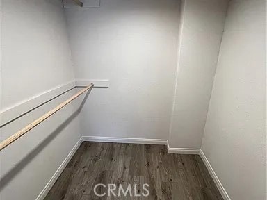 walk in closet featuring wood finished floors