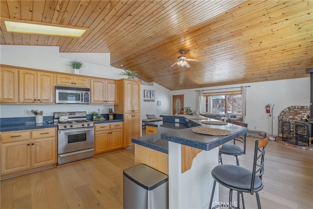 kitchen featuring light wood finished floors, a breakfast bar area, stainless steel appliances, and a wood stove