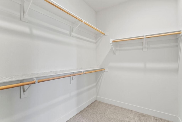 walk in closet featuring light carpet and attic access