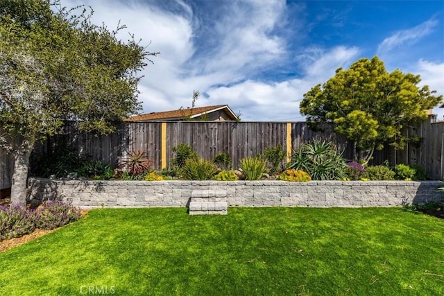 view of yard featuring a fenced backyard