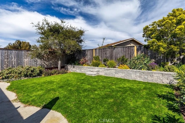 view of yard featuring a fenced backyard